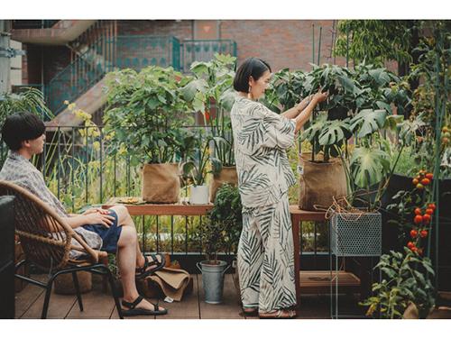 家庭菜園初心者向けに「ウエテ」を提案